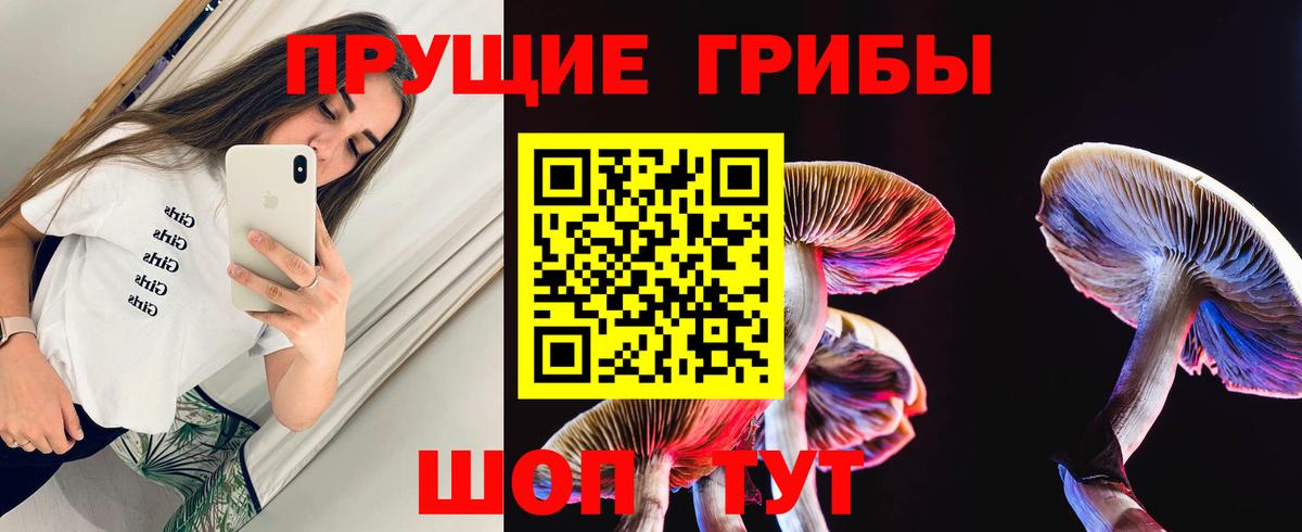 Алексеевка  Псилоцибиновые грибы Psilocybe  Вход с VPN 